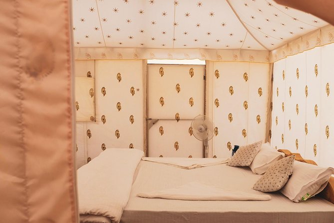 Luxury Overnight Camping Jaisalmer - Getting There: 2:00 pm Start, Then the Day Unspools