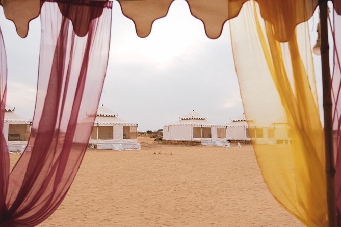 Luxury Overnight Camping Jaisalmer - The Camel Safari to Thar Dunes: What the Ride Is Really Like
