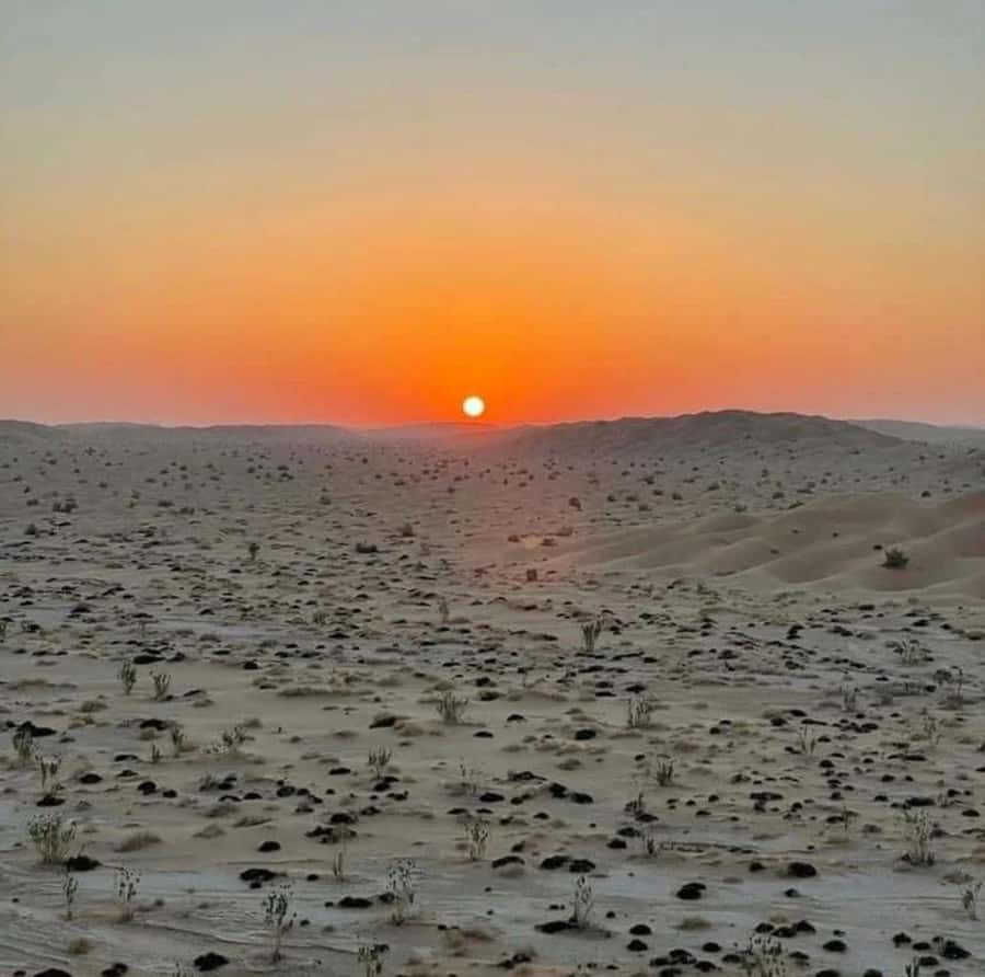 Luxury Overnight Desert Safari in Salalah - Empty Quarter Dune Bashing: 3 or 4 Runs With a Pro Driver