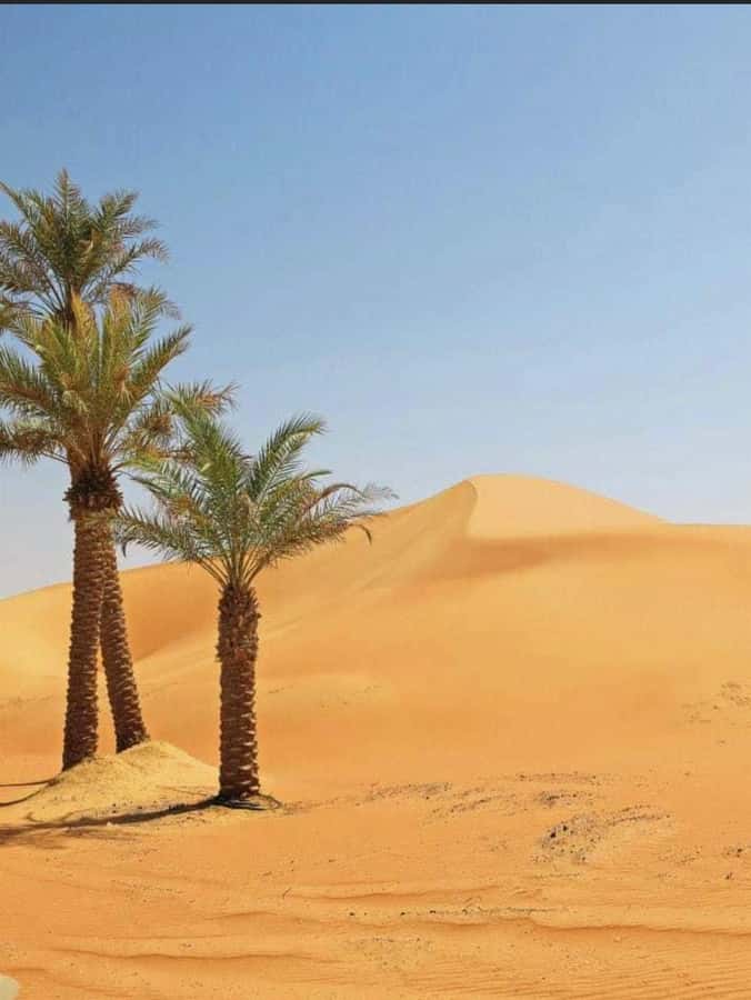 Luxury Overnight Desert Safari in Salalah - Your Arabic Traditional Desert Camp Night: Bonfire, Shisha, and Stars
