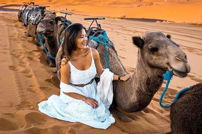 Luxury Overnight From Fez To Merzouga - Fes el-Bali Stop: A Gentle Start Before the Long Road