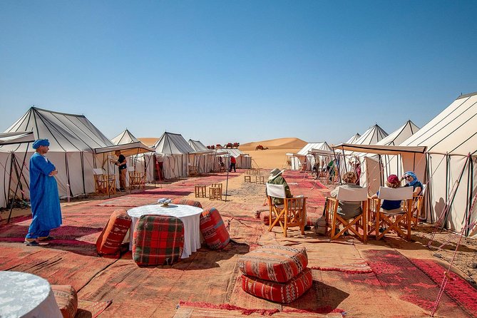 Luxury Overnight Sahara Desert trip fez Back to Fez or Marrakech - Leaving Fez for the Middle Atlas: Ifrane and Azrou