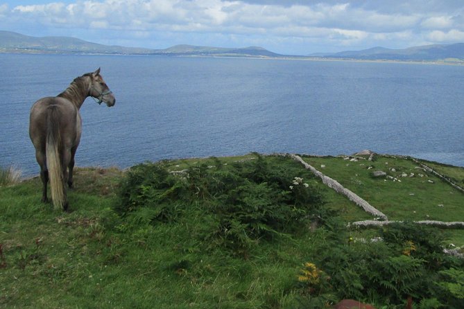 Luxury Photography Day Tour on Ring of Kerry and Skellig Ring - Fully Guided and Chauffeured - Cahersiveen area: seeing Daniel O’Connell’s home