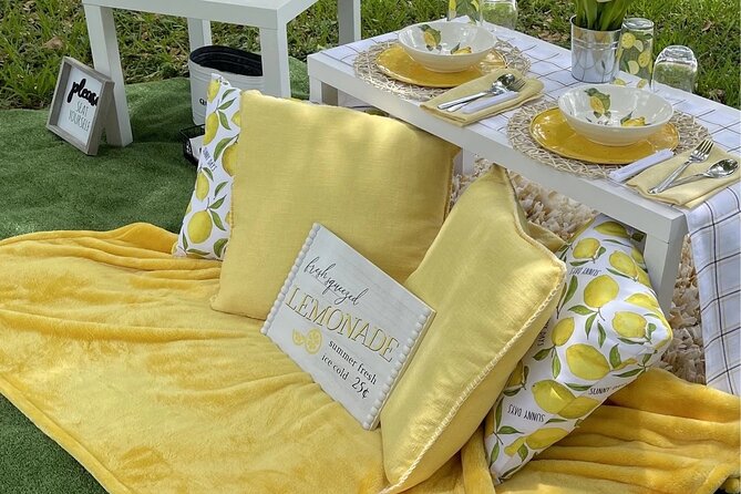 Luxury Picnic Experience at Pedrick Pond Park - The setup on arrival: teepee comfort and the small details
