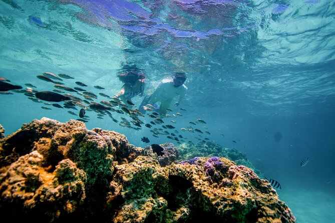 LUXURY PRIVATE Catamaran Bora Bora : Half-Day Trip - Pickup, drop-off, and what the included snacks/drinks mean for value