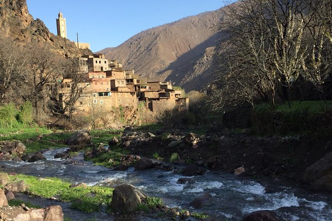 Luxury private day trip - Atlas Mountains, Agafay Desert & camels - High Atlas intro at Aroumd and the argan cooperative