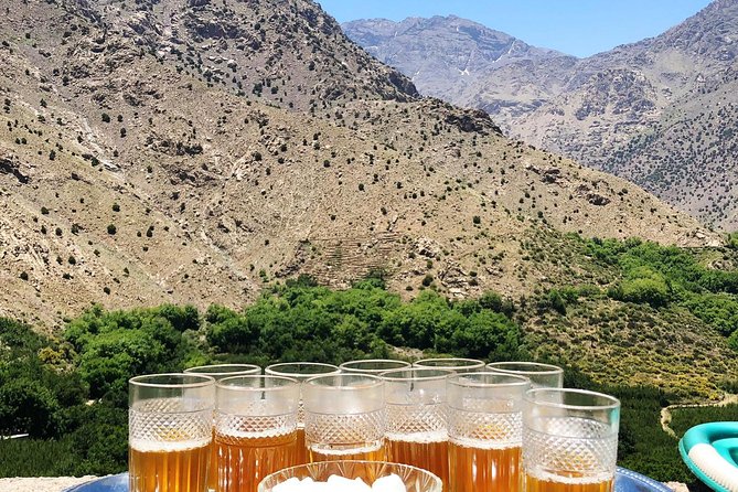 Luxury private day trip - Atlas Mountains, Agafay Desert & camels - Tuesday and Saturday farmers markets for extra local context