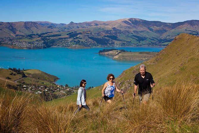 Luxury Private Guided Crater Rim Walk on Banks Peninsula - Key highlights I’d prioritize on this crater rim walk