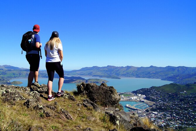 Luxury Private Guided Crater Rim Walk on Banks Peninsula - Taylors Mistake to the Godley Head walk: black sand and small-bach charm