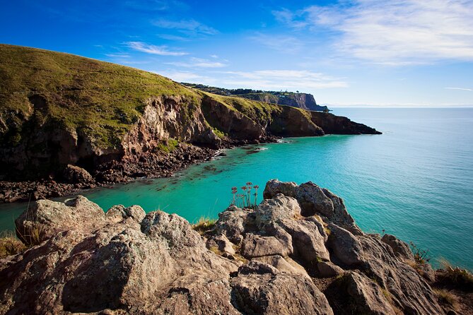 Luxury Private Guided Crater Rim Walk on Banks Peninsula - Godley Head 8 km loop: the crater rim payoff