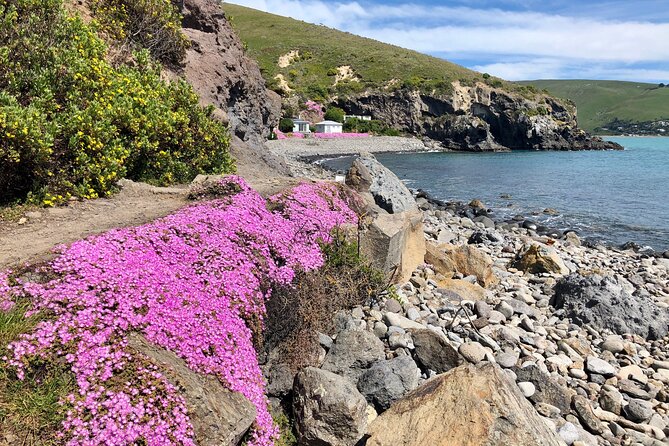 Luxury Private Guided Crater Rim Walk on Banks Peninsula - Price and value: what you’re paying for (and what to check)