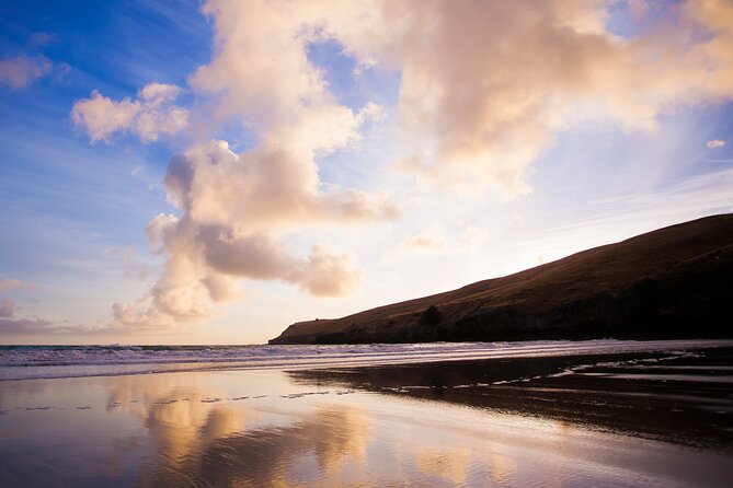 Luxury Private Guided Crater Rim Walk on Banks Peninsula - Who should book this crater rim walk