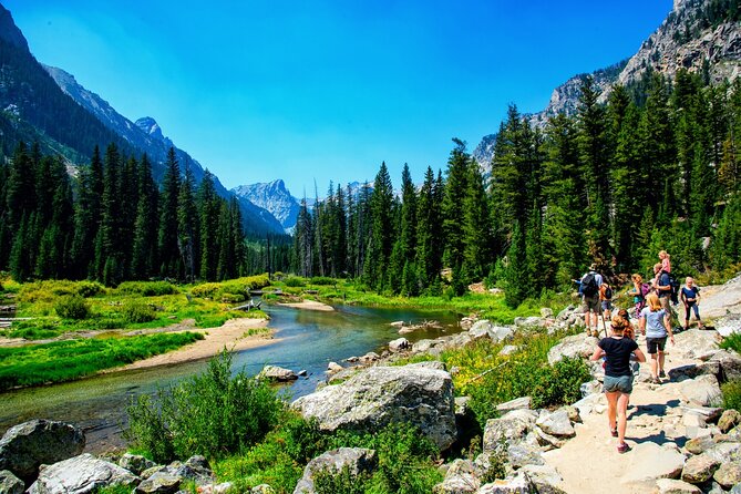 Luxury Private Half-Day Grand Teton National Park Tour - Guide quality is the multiplier: what stood out most