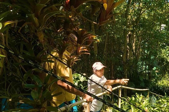 Luxury Private Tour in ST.Thomas(6per group) - Mountain Top: souvenirs, views, and that famous banana daiquir(y) moment