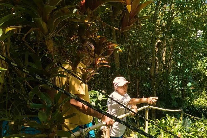 Luxury Private Tour in ST.Thomas(6per group) - Price and value: is $595 per person worth it?