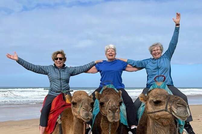 Luxury Private Tour of Tangier from Gibraltar All Inclusive - Achakkar Beach camel time, plus Mendoubia’s garden reset
