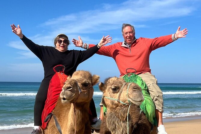 Luxury Private Tour of Tangier from Gibraltar All Inclusive - Returning to Gibraltar: keep your timing tight for passport queues
