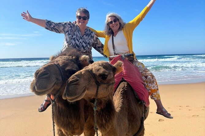 Luxury Private Tour of Tangier from Marbella All Inclusive - Parc Perdicaris to Cap Spartel: Views, Stories, and Sea-Air Magic