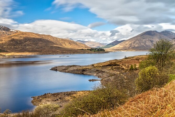 Luxury Private Tour of The Highlands & Loch Ness from Edinburgh - Kilmahog and Highland cows: the most warm-and-wholesome break