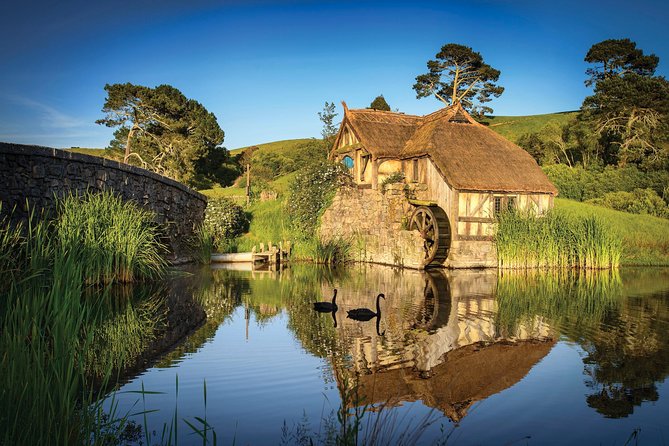 Luxury Private Transfers: Auckland Airport to City - Operating Hours: The One Constraint You Should Check First