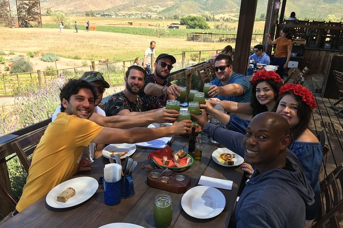 Luxury Private Wine Tasting Tour to Guadalupe Valley from San Diego - A 10-Hour Valle Day That Starts in Chula Vista