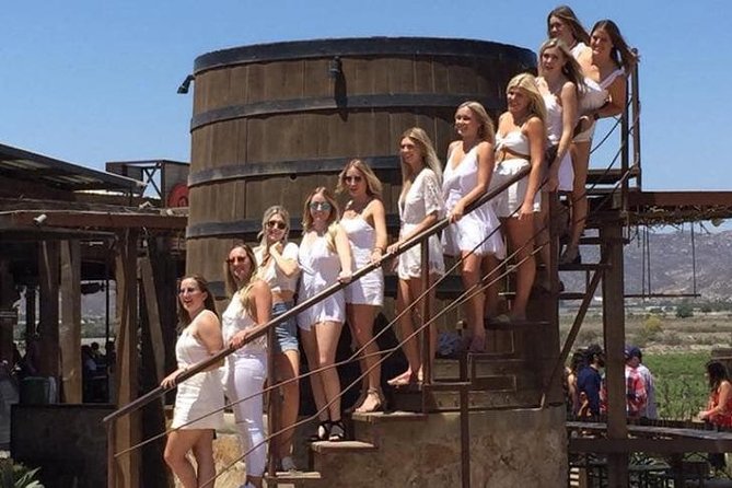Luxury Private Wine Tasting Tour to Guadalupe Valley from San Diego - Who This Tour Fits Best (And Who Might Want Something Else)