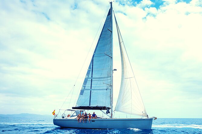 Luxury Private Yacht Sailing Tours in Barcelona - The swim stop for marine life: what to expect and how to be ready