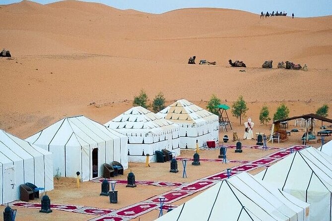 Luxury Sahara Desert From Fez back to fez or marrakech overnight - Atlas stops on Day 1: Ifrane, Azrou Cedar Forest, Midelt, and quick photo breaks