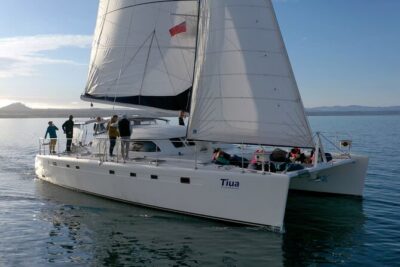 Luxury Sailing - Māori Rock Carvings - Taupo Sailing Adventures - Stop 1 on Lake Taupo: views, cruising comfort, and a long-enough timeline