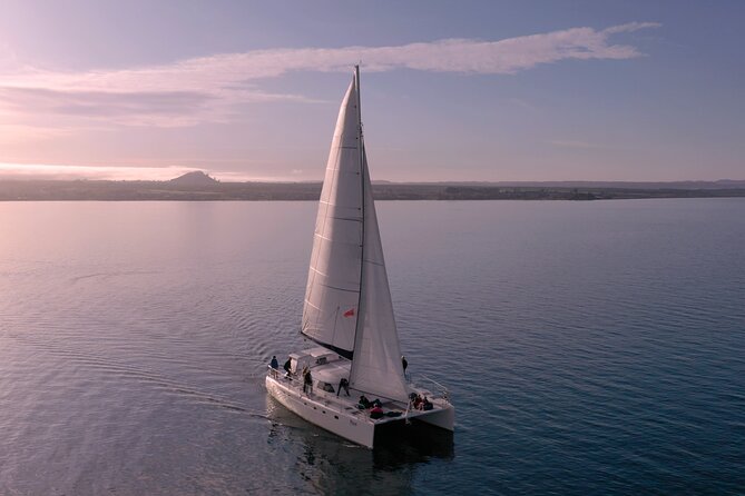 Luxury Sailing - Māori Rock Carvings - Taupo Sailing Adventures - Māori rock carvings from the water: what you’re actually seeing