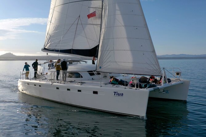 Luxury Sailing - Māori Rock Carvings - Taupo Sailing Adventures - Stop 1 on Lake Taupo: views, cruising comfort, and a long-enough timeline