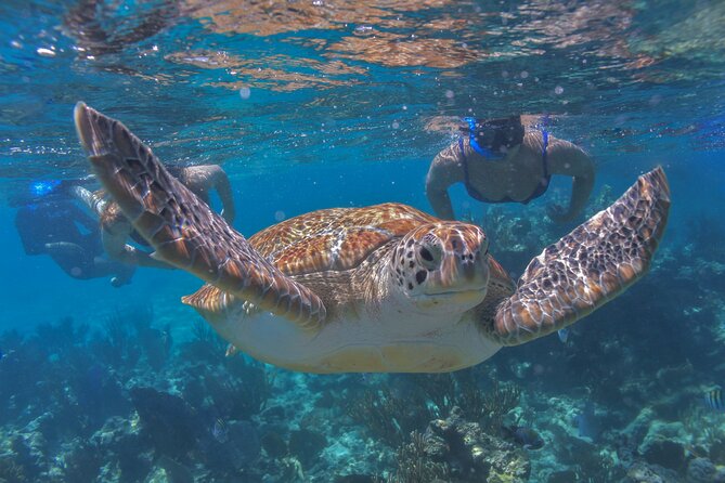 Luxury Sailing & Snorkeling Experience from Riviera Maya - Price and value: is $149 per person actually fair?