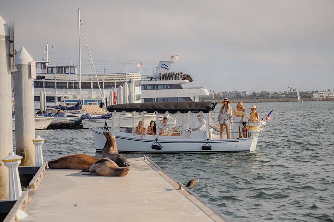 Luxury Shared E-Boat Cruise with Wine, Charcuterie & Sea Lions Spotting - Small-group comfort: meeting point, seating, and the practical bits