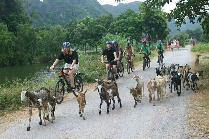 Luxury small Group Hoa Lu - Tam Coc - Mua Cave Max 6 - 8 pax/tour - Tam Coc by bike and by boat: two ways to see the same scenery