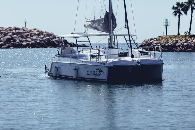 Luxury Snorkel Adventure in Cabo - Group size and the VIP advantage: why 16 people changes the day