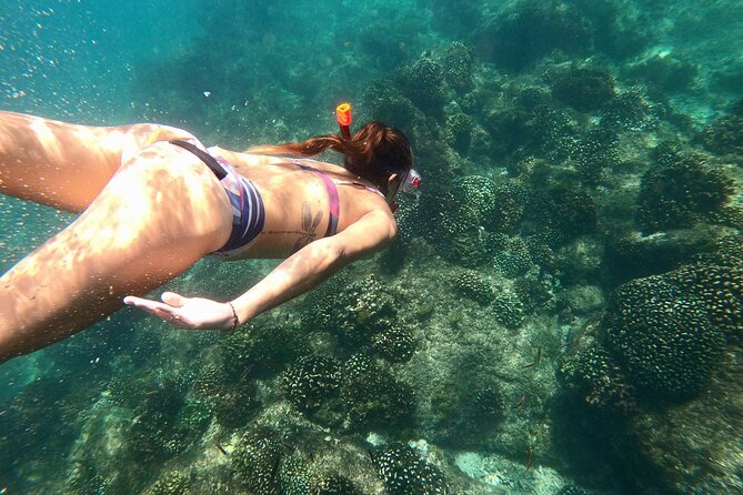 Luxury Snorkel Adventure in Cabo - On board: comfort, open bar, and a crew that stays on top of things