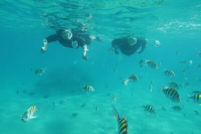 Luxury Snorkeling on Your Vacation Exclusively Private Guaranteed - Who Laura is and why her safety-first coaching changes everything
