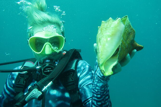 Luxury Snorkeling on Your Vacation Exclusively Private Guaranteed - The small-group reality: calm instruction, but still check your expectations
