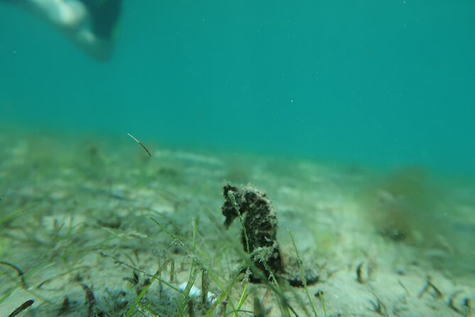 Luxury Snorkeling on Your Vacation Exclusively Private Guaranteed - What’s the deal with rain and changing conditions?