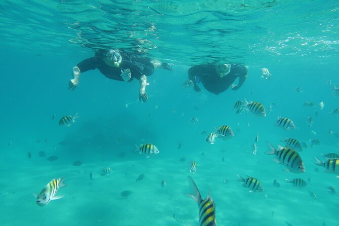 Luxury Snorkeling on Your Vacation Exclusively Private Guaranteed - Who Laura is and why her safety-first coaching changes everything