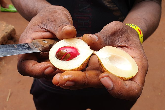 Luxury Spice Tour With Lunch - The included lunch: Zanzibari flavors you’ll remember longer than the map