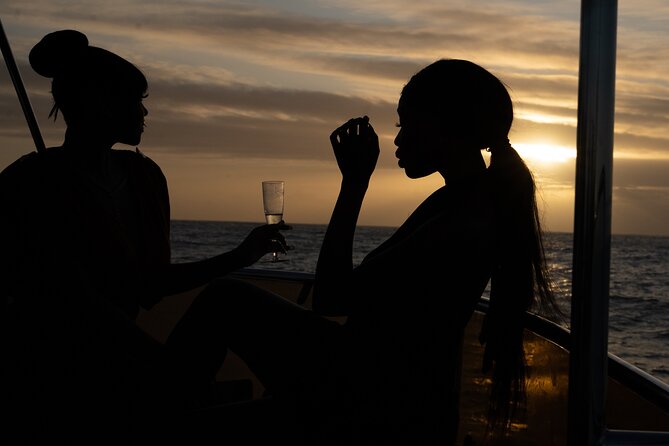 Luxury Sunset Cruise with Prosecco - What you’ll actually see: city, coastline, and Table Mountain from sea level