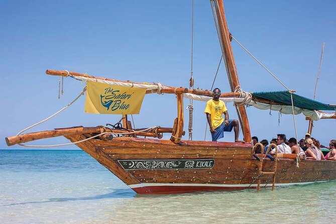 Luxury Swimming with DOLPHINS IN MNEMBA and LUNCH - Key things I’d clock before you go