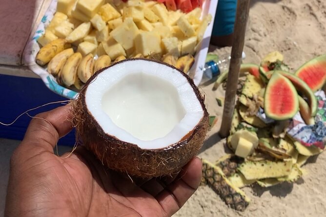 Luxury Swimming with DOLPHINS IN MNEMBA and LUNCH - Snorkeling gear included: how to make the water time count