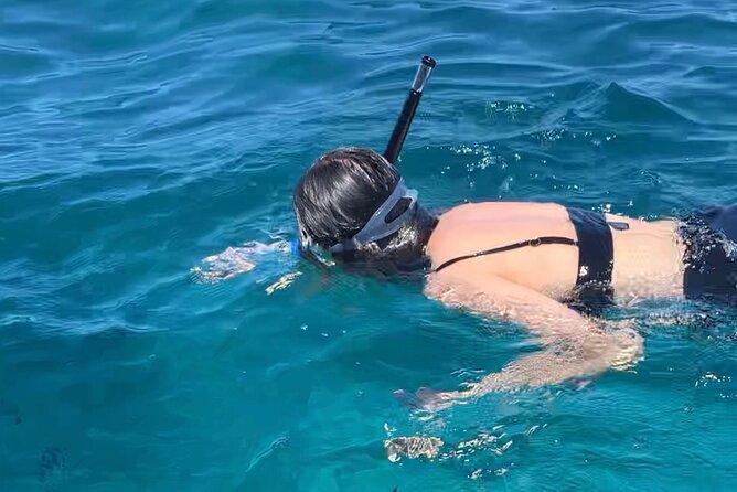 Luxury Swimming with DOLPHINS IN MNEMBA and LUNCH - The sandbank stop, fruit, and the lunch question you should ask
