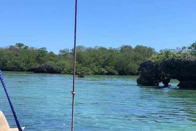 Luxury Swimming with DOLPHINS IN MNEMBA and LUNCH - Who this private dolphin-and-snorkel trip suits best