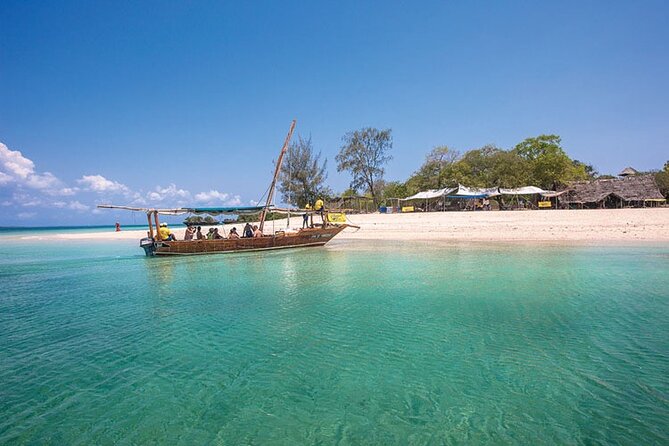 Luxury Swimming with DOLPHINS IN MNEMBA and LUNCH - Mnemba Island by motorized water taxi: the dolphin search