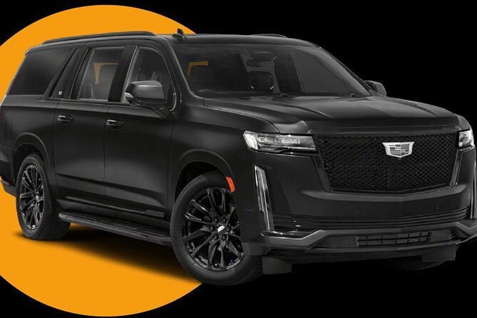 Luxury Transfer From Port of Miami to Miami and Fort Lauderdale - Customization: airport, city transfer, or a later-day tour