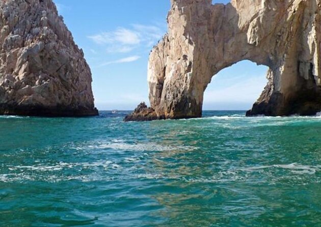 Luxury Whale Watch Cruise to The Arch Los Cabos - Key highlights worth planning around
