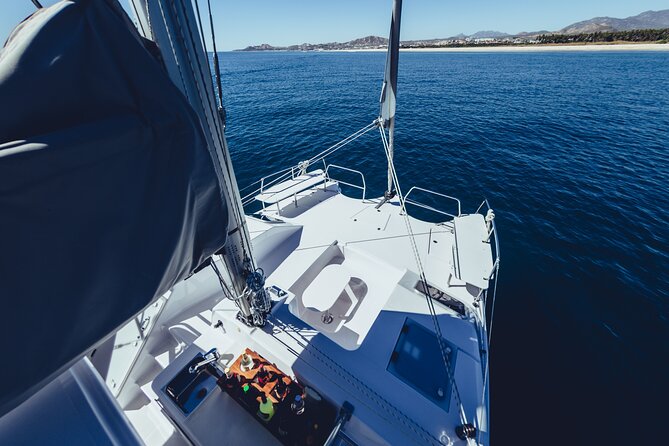 Luxury Whale Watch Cruise to The Arch Los Cabos - Whale watching on the Sea of Cortez: what “closer encounter” really means